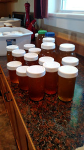 Honey All Packed Readly to Sell